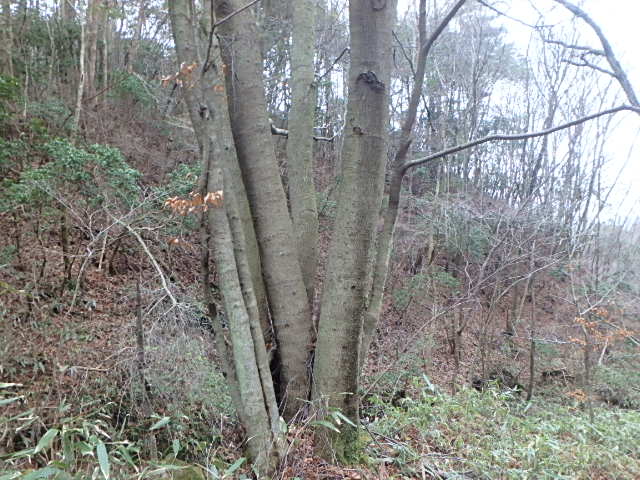 f0334143_843486.jpg