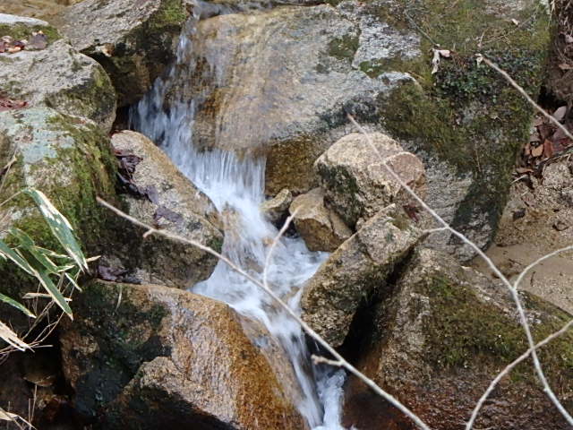 f0334143_8441381.jpg