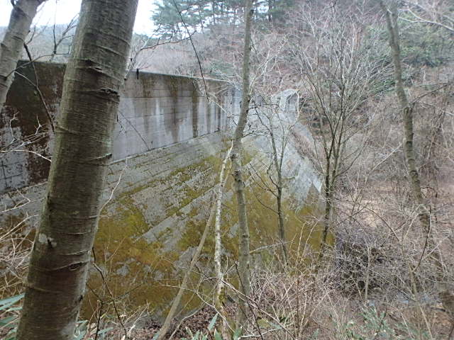 f0334143_8442421.jpg