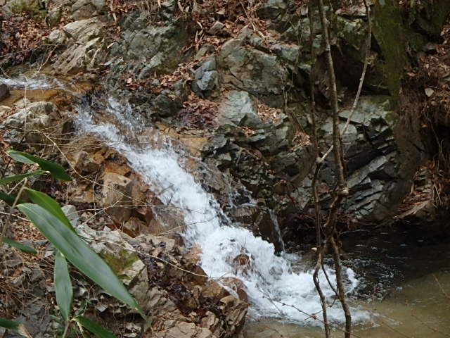f0334143_8472121.jpg