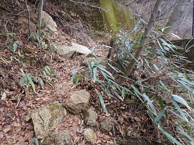 f0334143_84765.jpg
