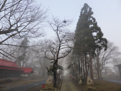 b0238249_17262786.jpg