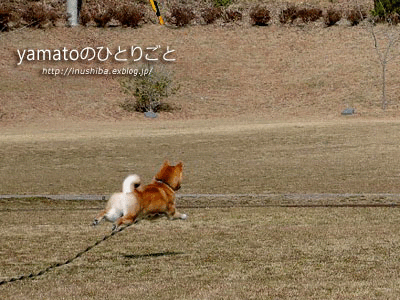 a0286855_6315778.gif