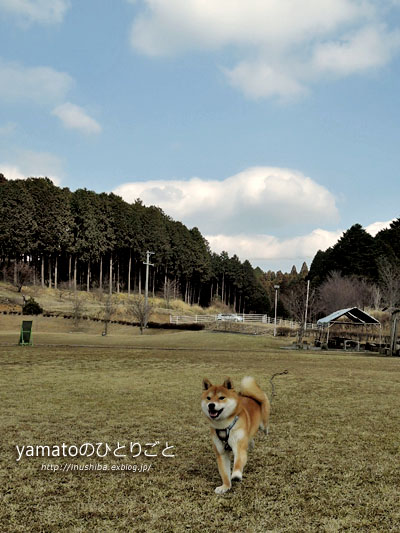 a0286855_6321441.jpg
