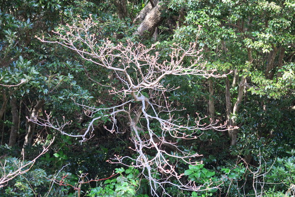 e0292172_2049727.jpg