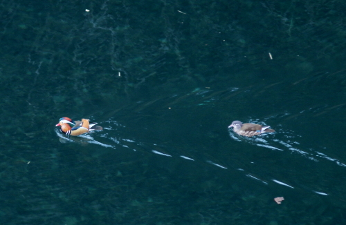 d0262476_6112917.jpg