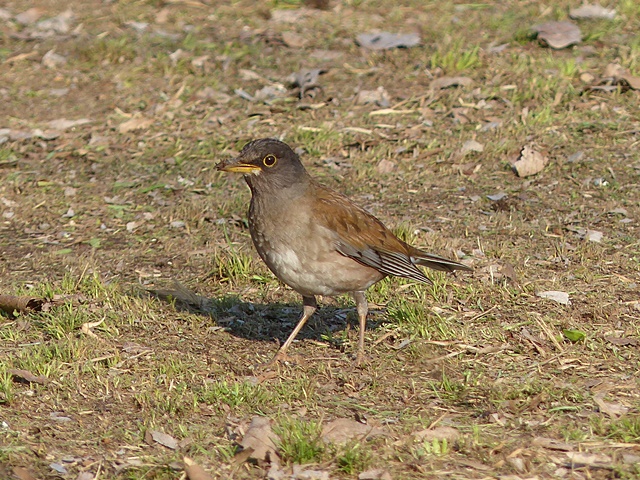 f0357487_10314088.jpg