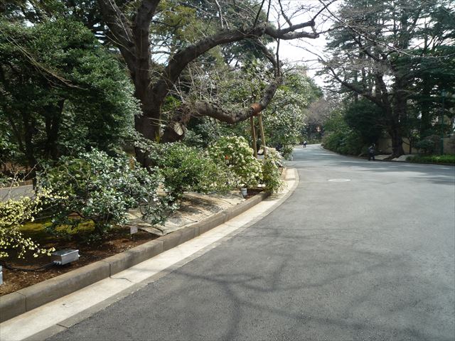 b0287088_15341843.jpg