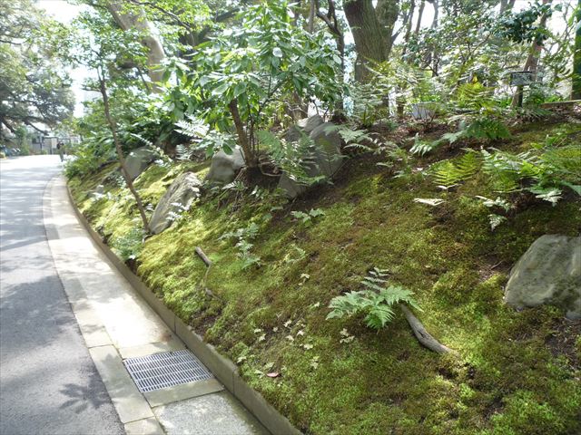 b0287088_15343499.jpg