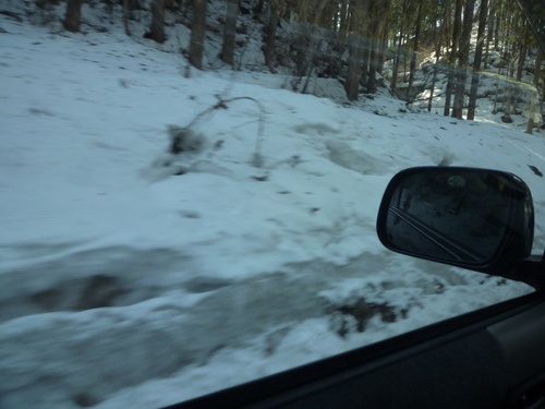 c0123890_2112818.jpg