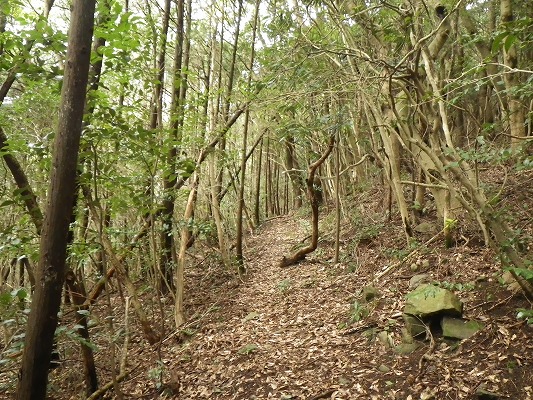 f0187402_20442273.jpg