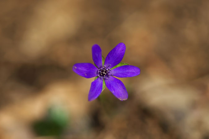 a0263109_1514137.jpg