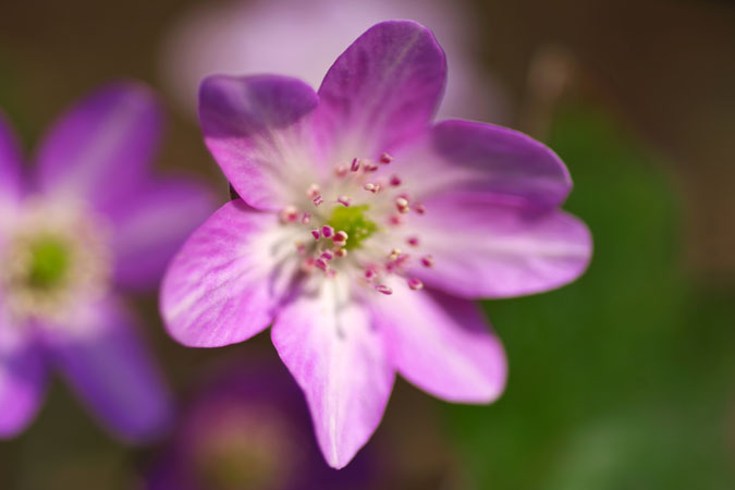 a0263109_1514566.jpg