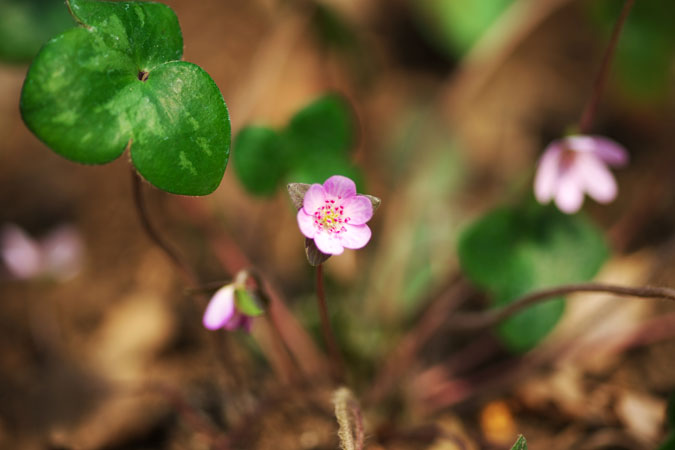 a0263109_1514935.jpg