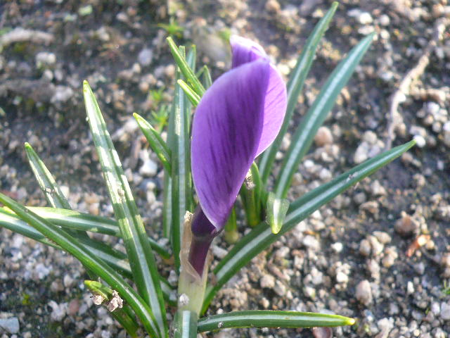 e0026017_9444166.jpg