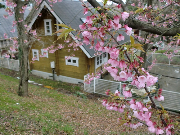 c0210618_23101673.jpg