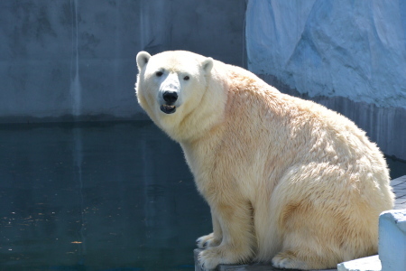 f0344626_20261076.jpg