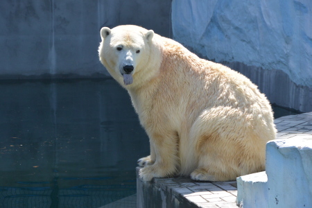 f0344626_20261852.jpg