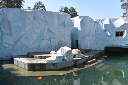 f0344626_20314814.jpg