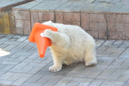 f0344626_20490428.jpg