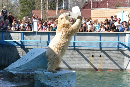 f0344626_21001291.jpg