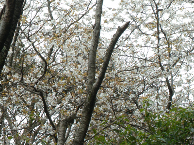 e0272335_1953513.jpg