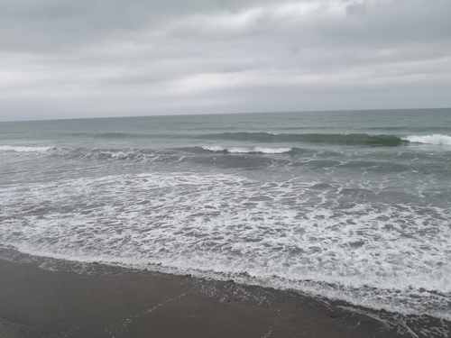 f0248337_15551831.jpg