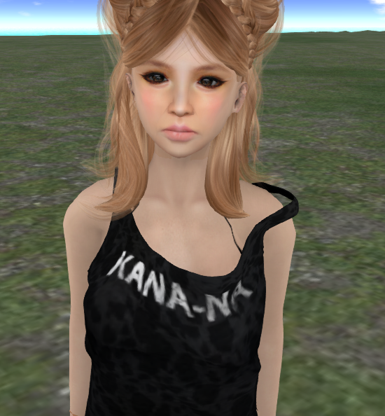 f0021041_0573338.png