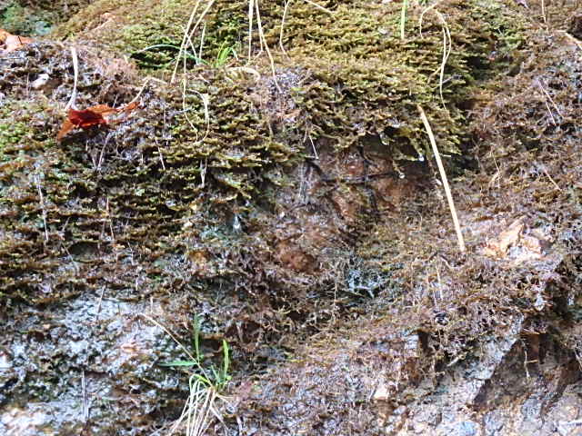 f0334143_1956152.jpg