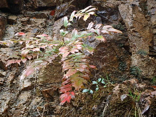 f0334143_19563835.jpg