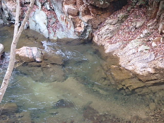 f0334143_19565655.jpg