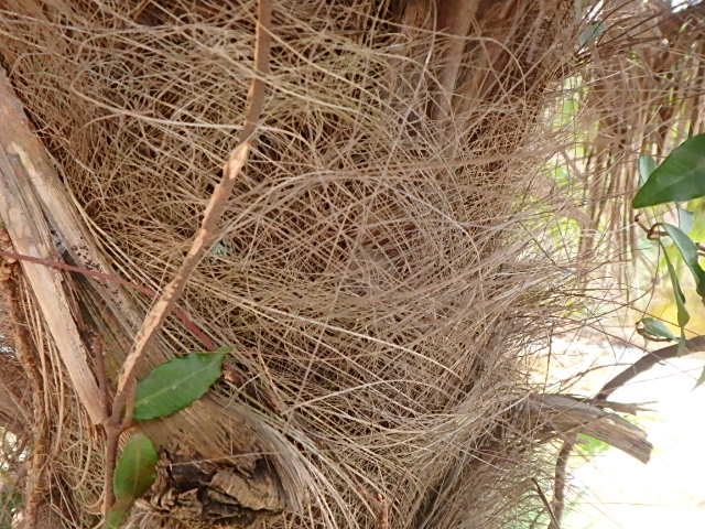 f0334143_19583071.jpg