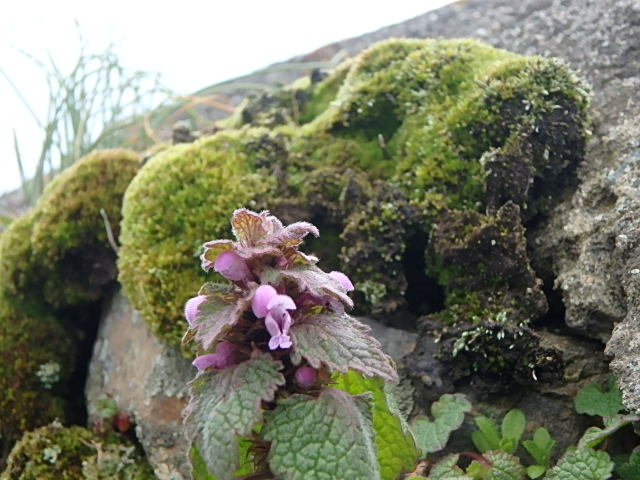 f0334143_200352.jpg