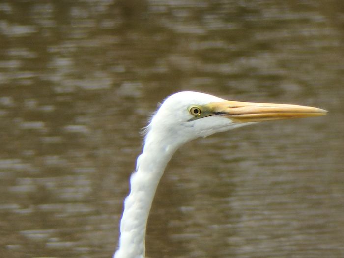 a0289546_0394542.jpg
