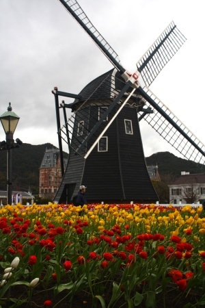 b0320746_14561518.jpg