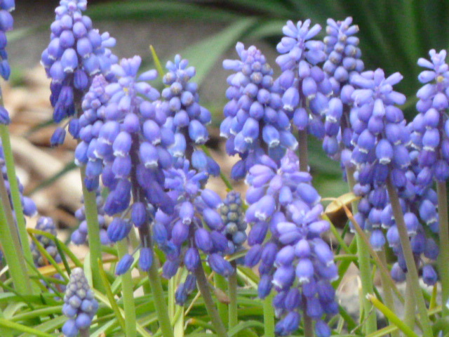 e0278968_21152009.jpg