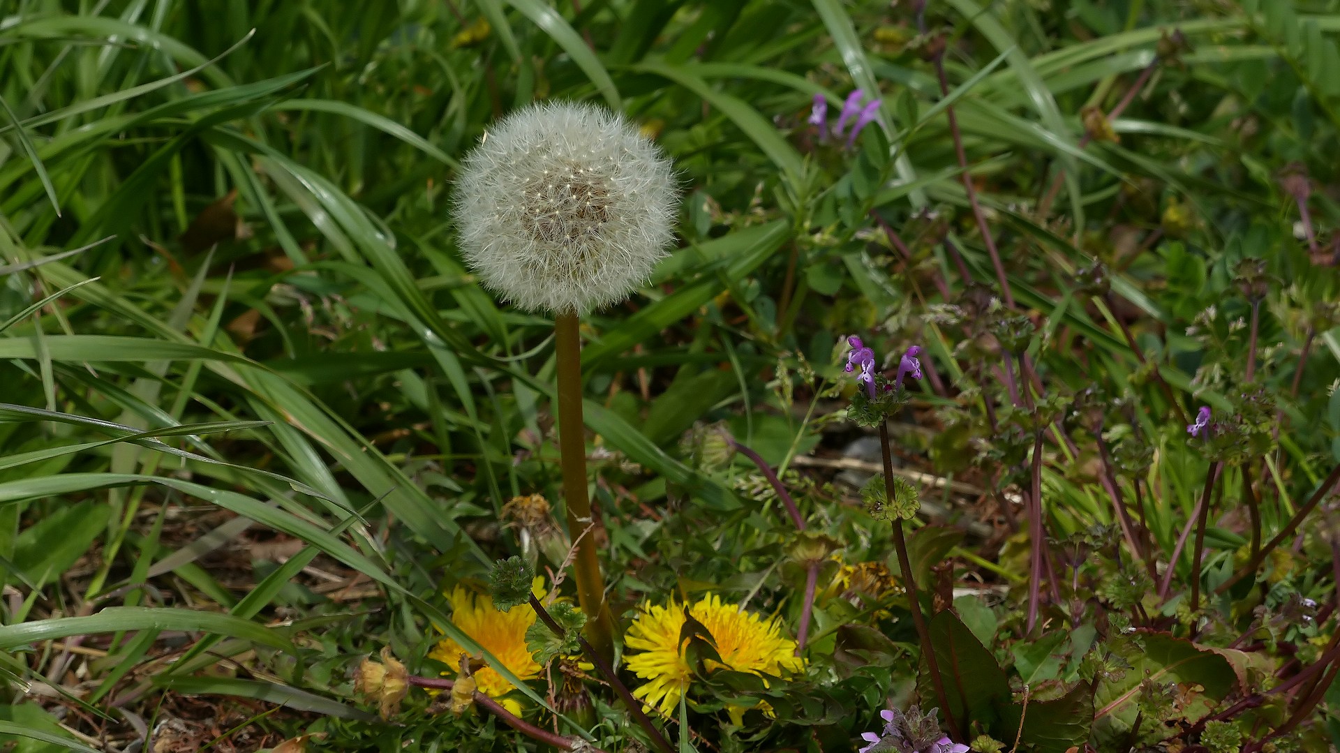 a0185081_1005675.jpg