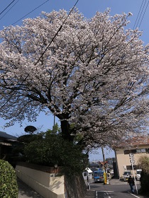 e0130185_2031813.jpg