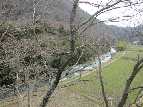 a0251786_20592624.jpg