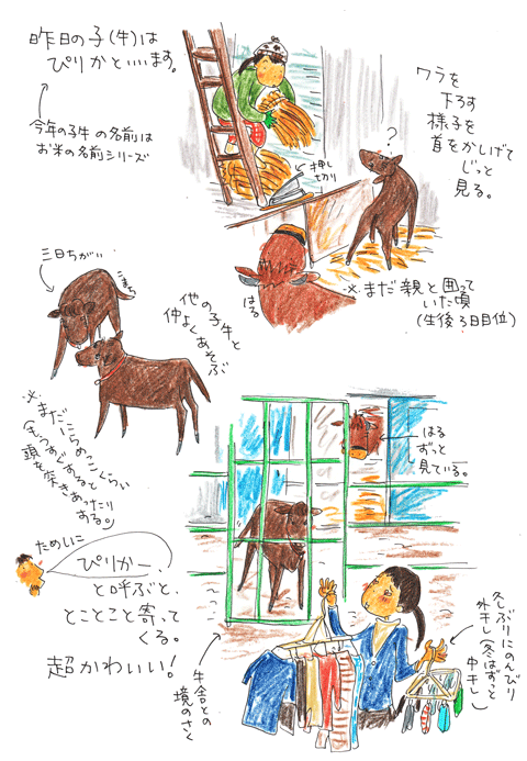 f0236291_2264224.gif