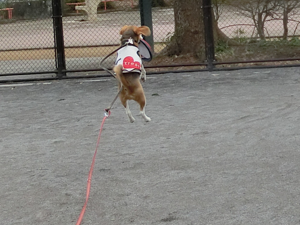 a0319693_1574110.jpg