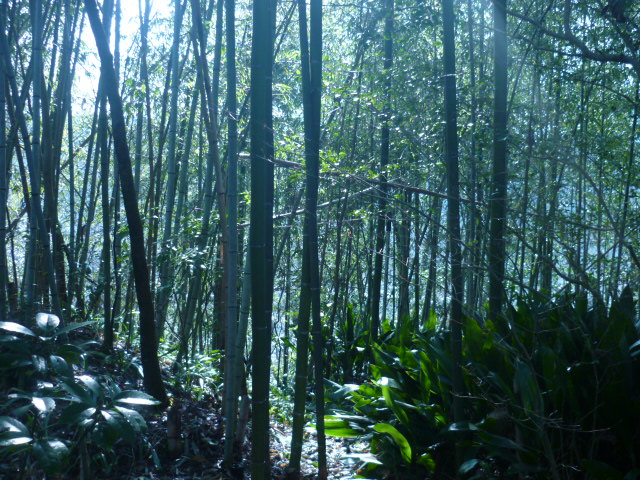 e0326699_16322514.jpg
