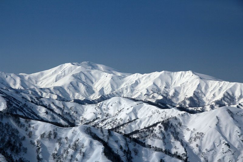 e0137200_2055453.jpg