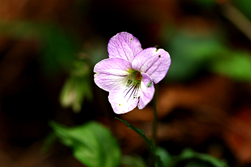 b0014607_20375870.jpg