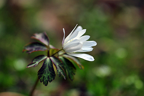 b0014607_20382239.jpg