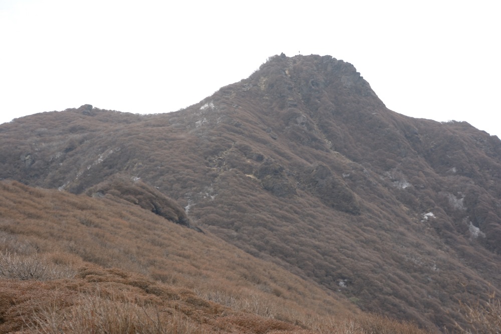 b0277008_20412110.jpg