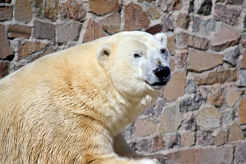 a0151913_11249.jpg