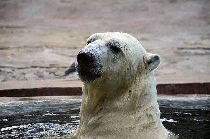 a0151913_123258.jpg