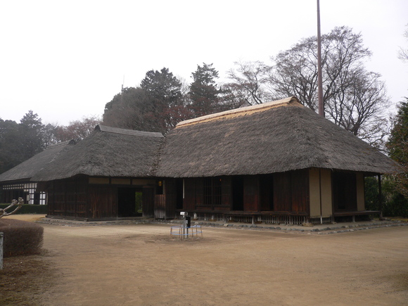 a0249215_77316.jpg
