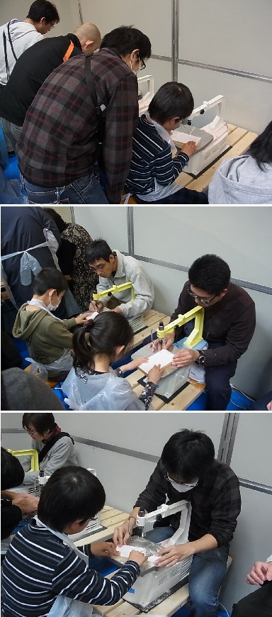 f0191517_1555637.jpg